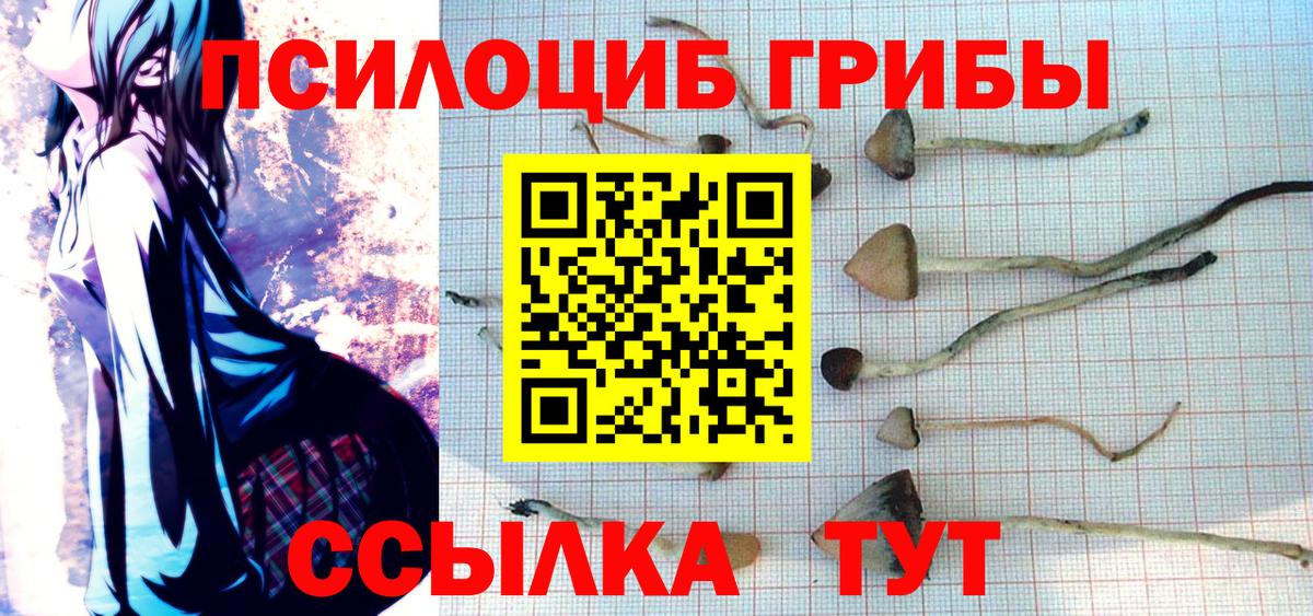 Псилоцибиновые грибы Psilocybine cubensis  Вход с VPN  где можно купить наркотик  Алапаевск 
